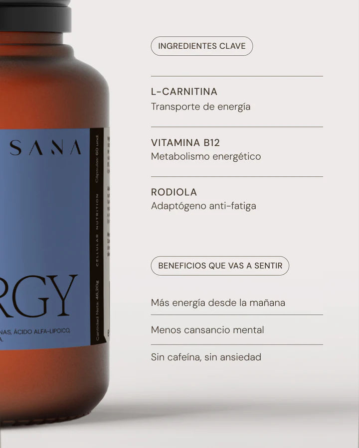 Energy · SANA | 60 cápsulas