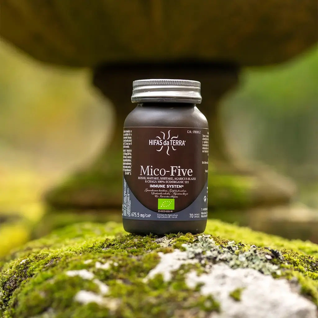 Extractos puros Mico-Five de hongos reishi, shiitake, maitake, sun y chaga