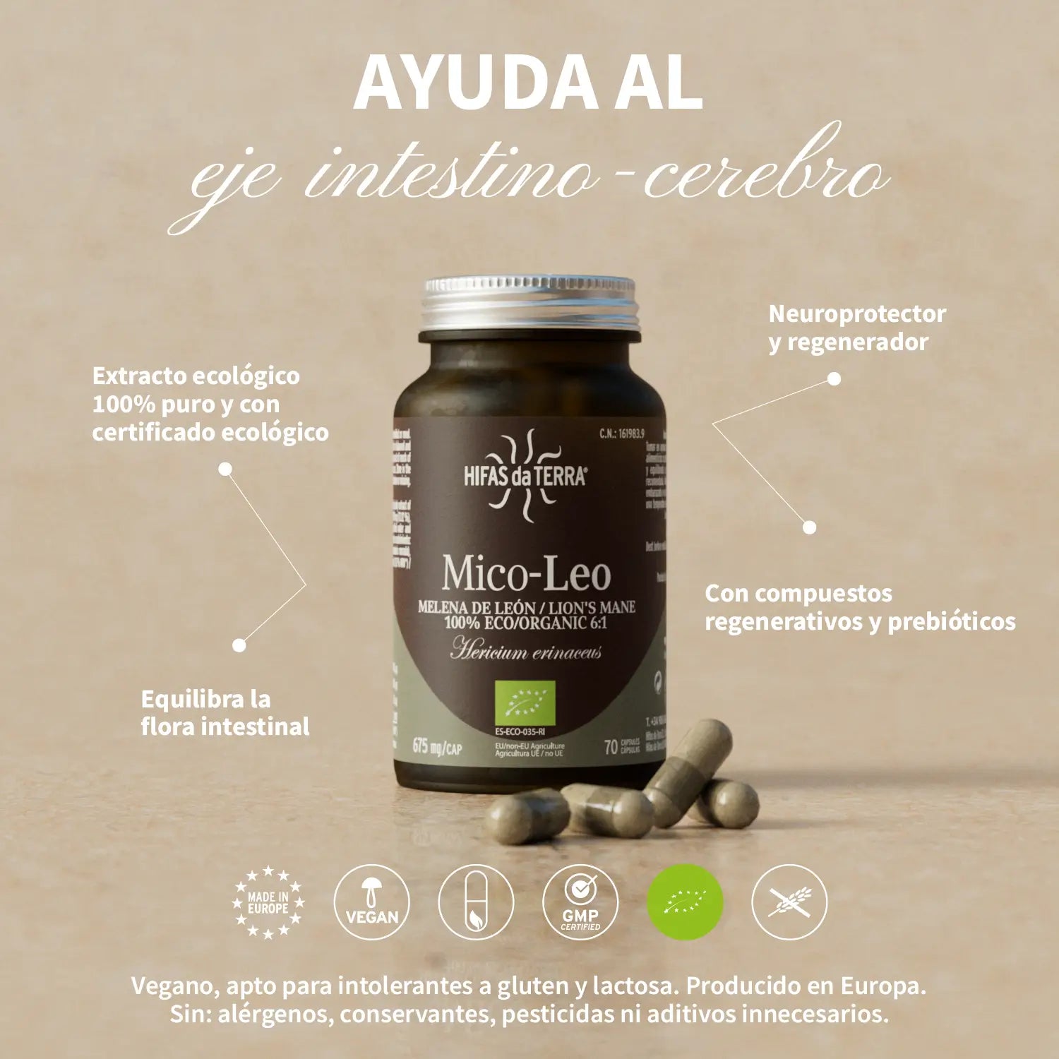 Melena de León Mico-Leo Recarga · Hifas da Terra | 60 cápsulas