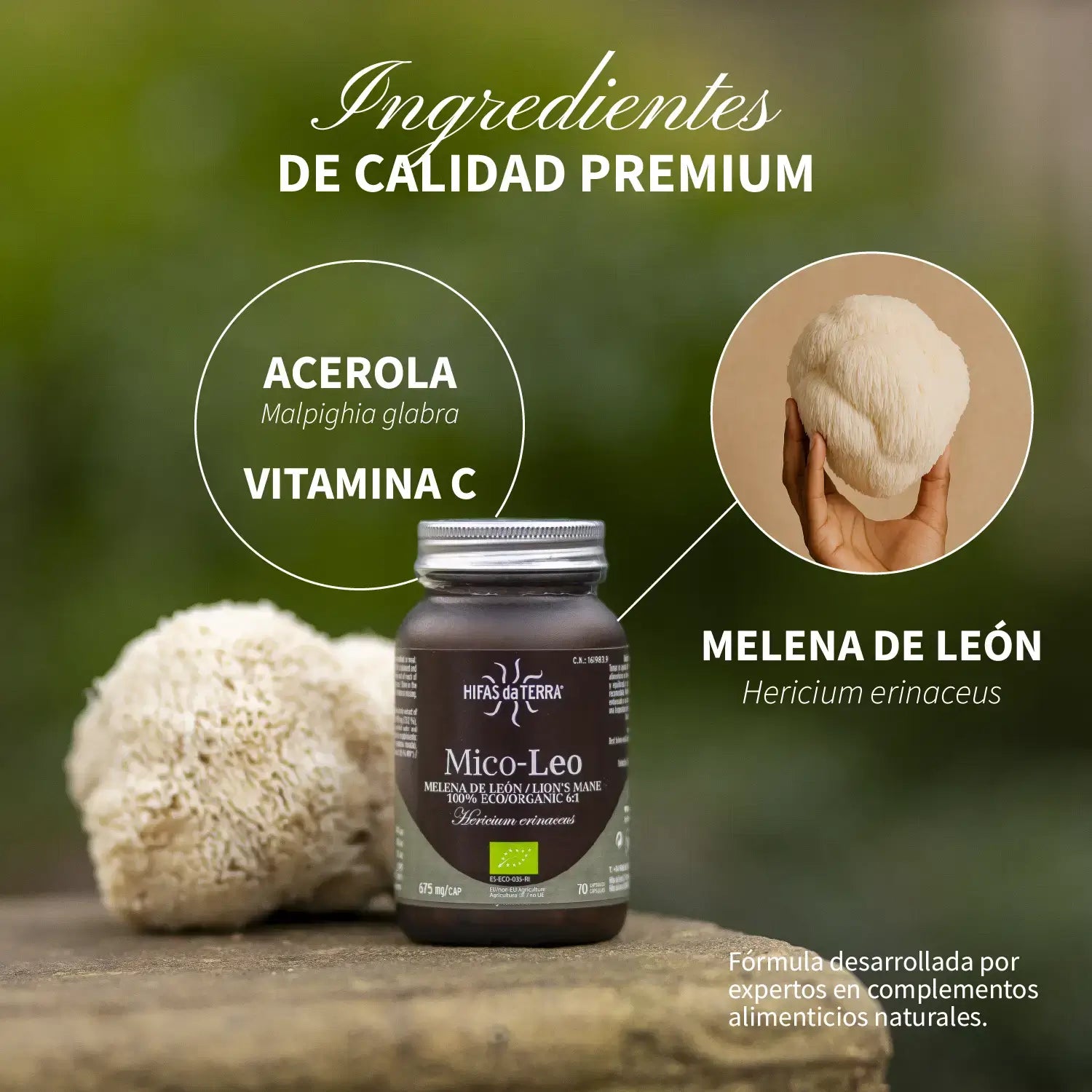 Melena de León Mico-Leo Recarga · Hifas da Terra | 60 cápsulas