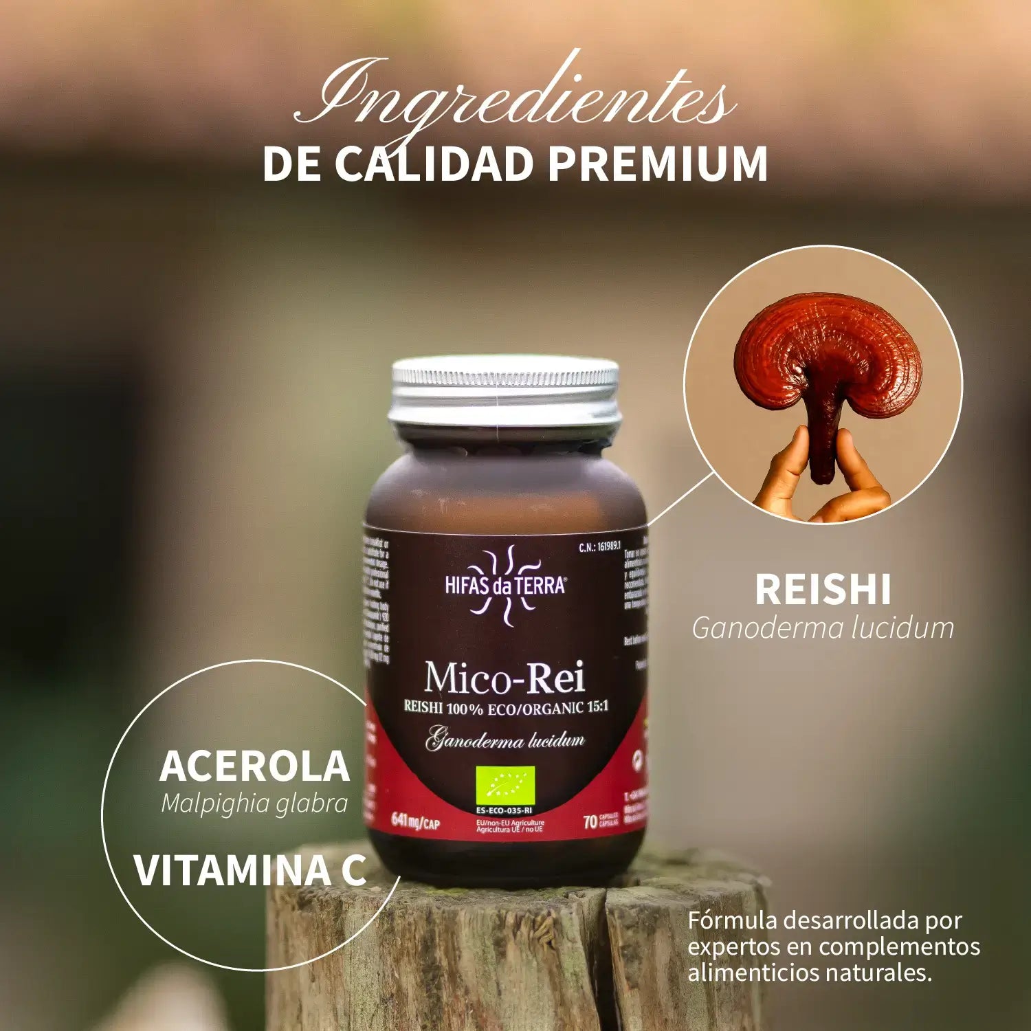 Reishi Mico-Rei Recarga · Hifas da Terra | 60 cápsulas