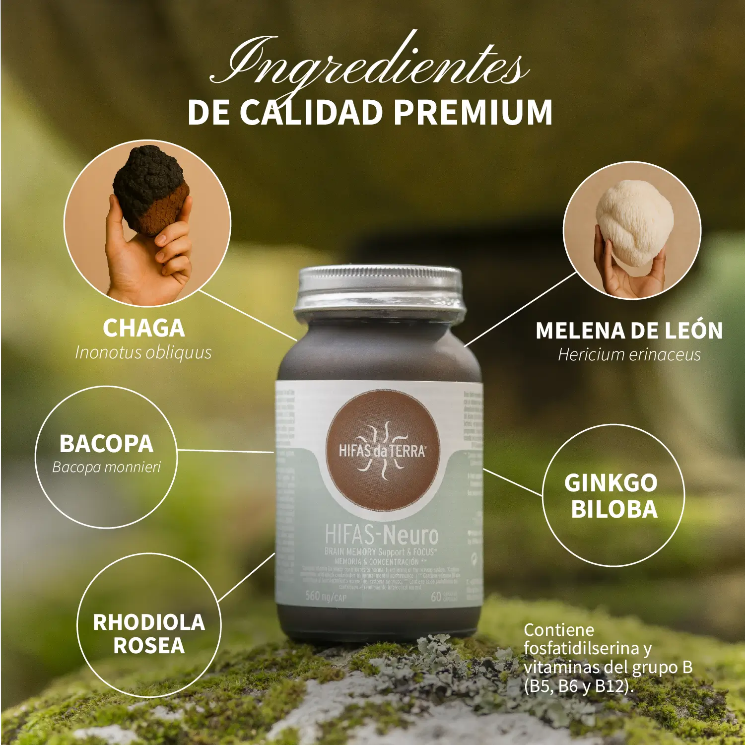 Melena de León y Chaga Hifas-Neuro · Hifas da Terra | 60 cápsulas