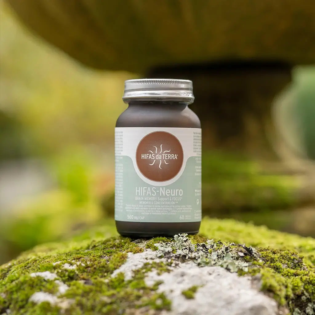 Melena de León y Chaga Hifas-Neuro · Hifas da Terra | 60 cápsulas