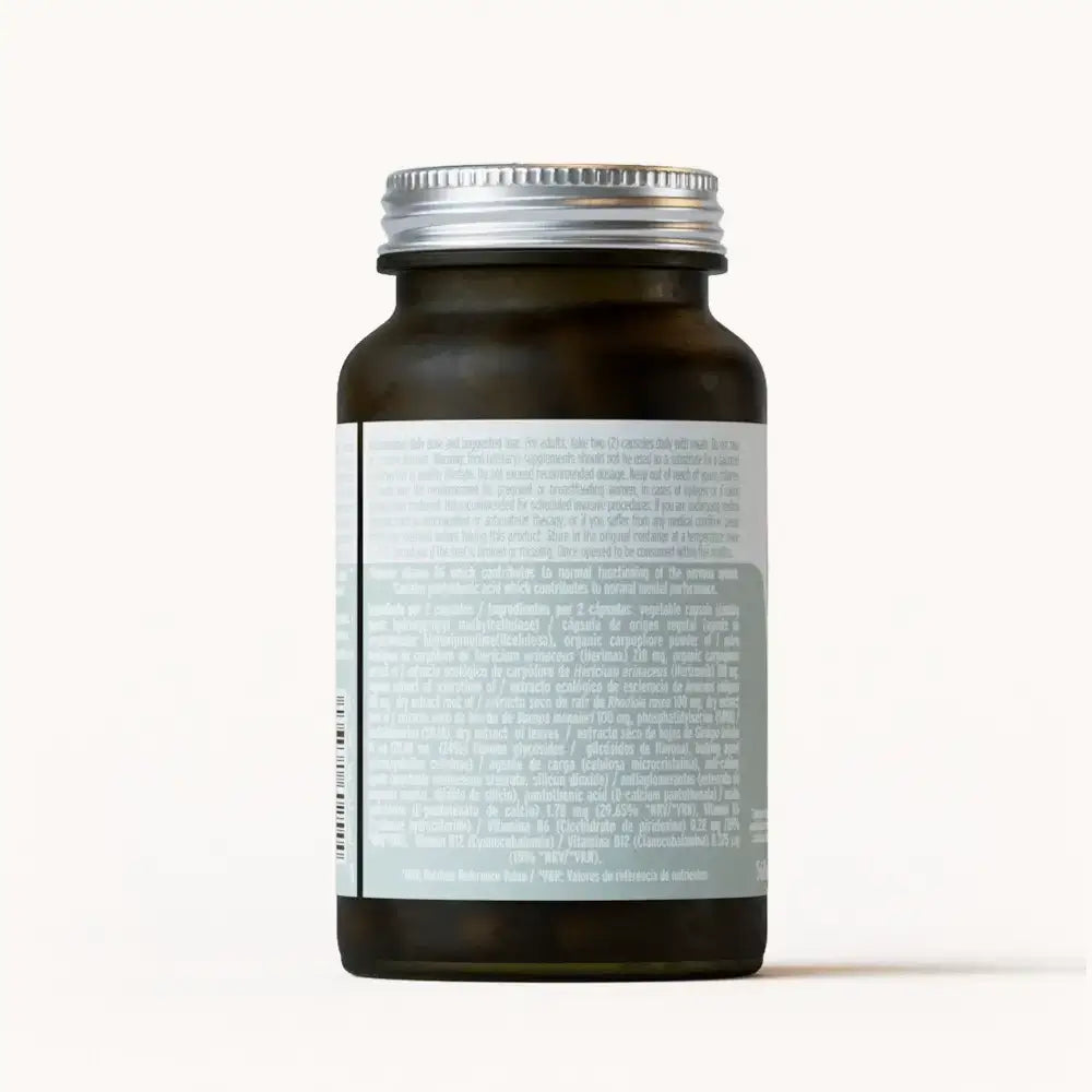 Melena de León y Chaga Hifas-Neuro · Hifas da Terra | 60 cápsulas