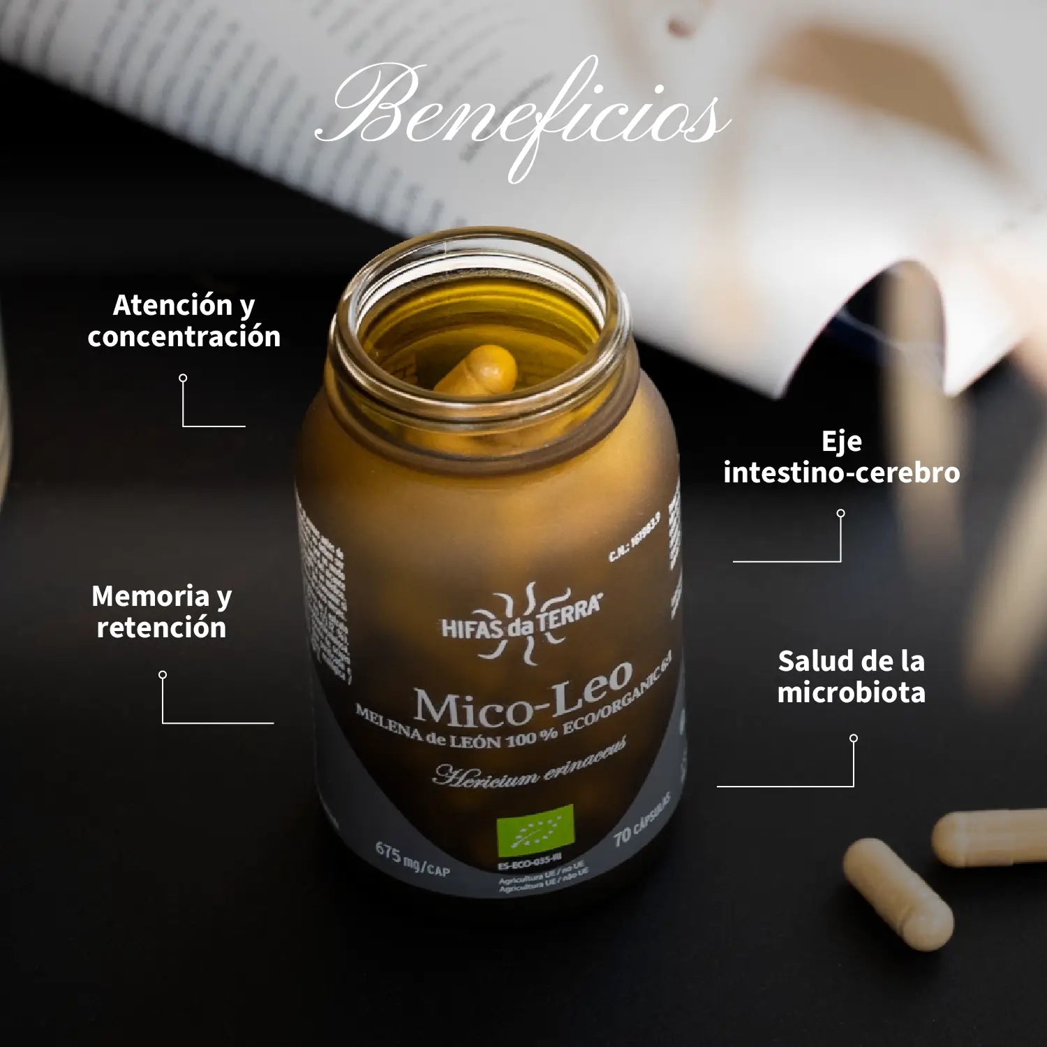 Melena de León Mico-Leo Recarga · Hifas da Terra | 60 cápsulas