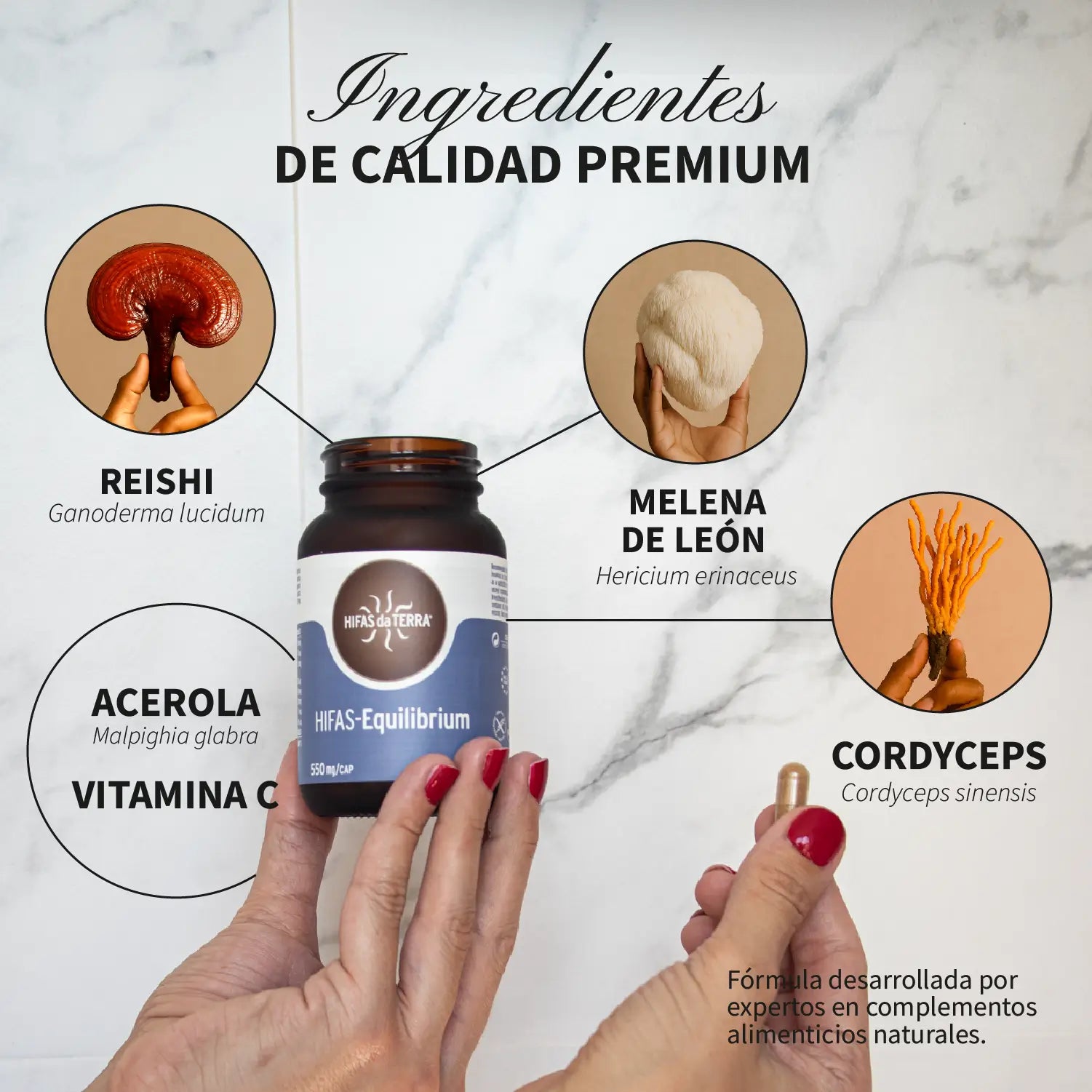 Reishi, Melena de León y Cordyceps Hifas-Equilibrium · Hifas da Terra | 60 cápsulas